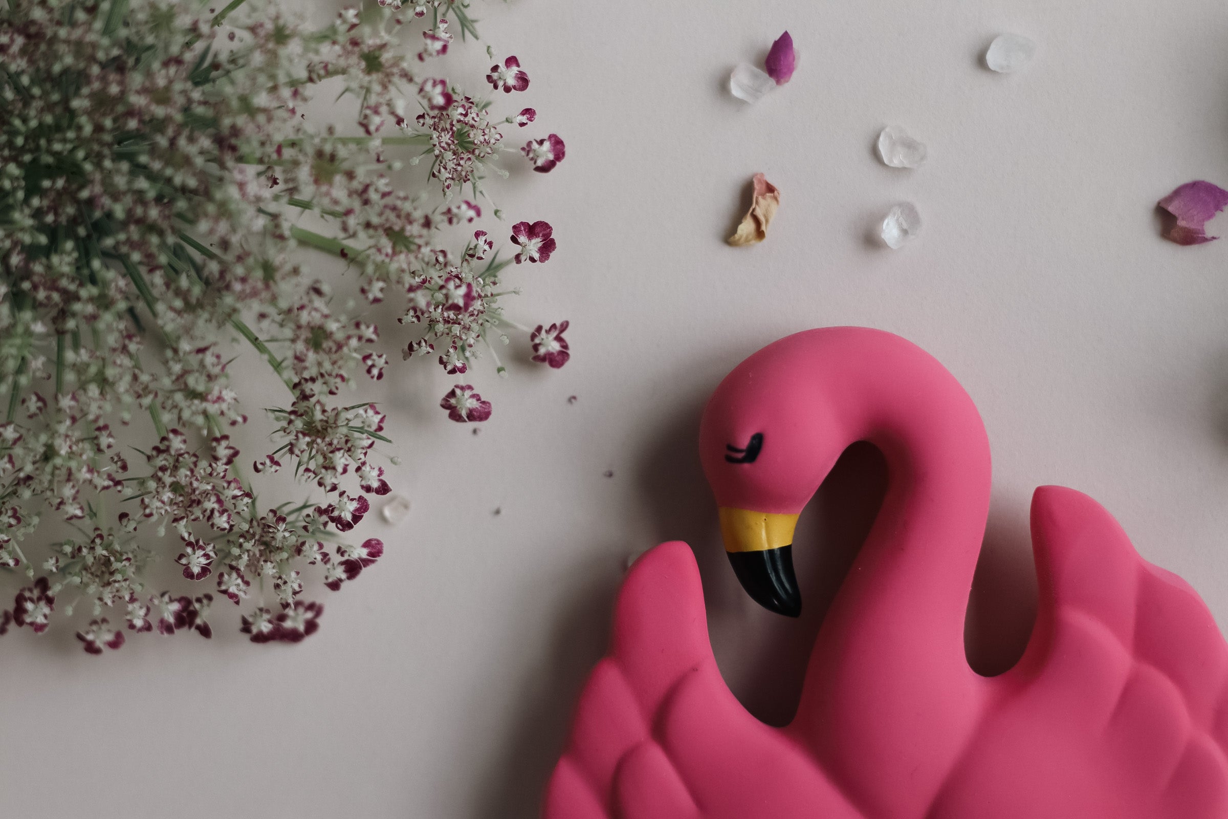 Flamingo bidering